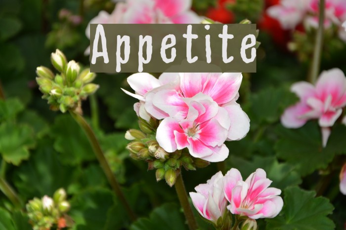 Appetite Font examples