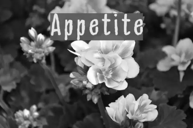 Appetite フォント examples