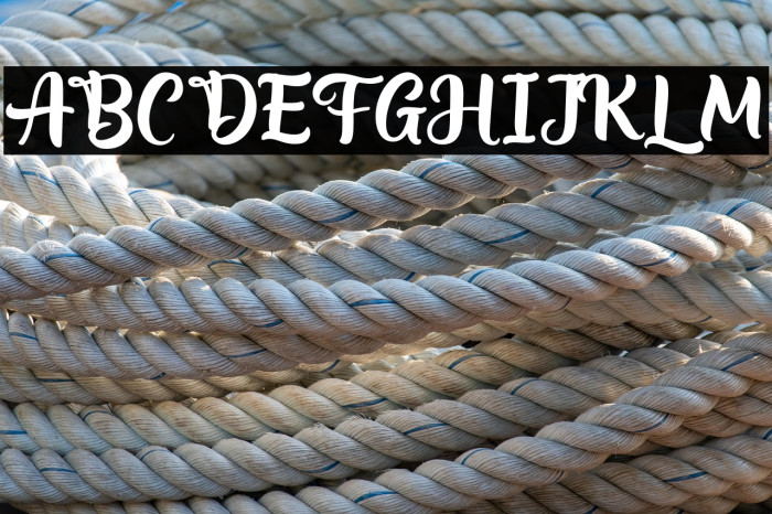 AppetizerFREE Example 3