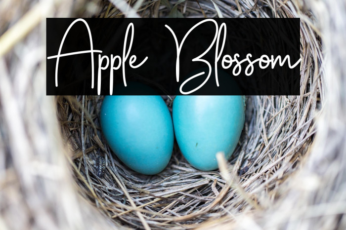 Apple Blossom Шрифта examples