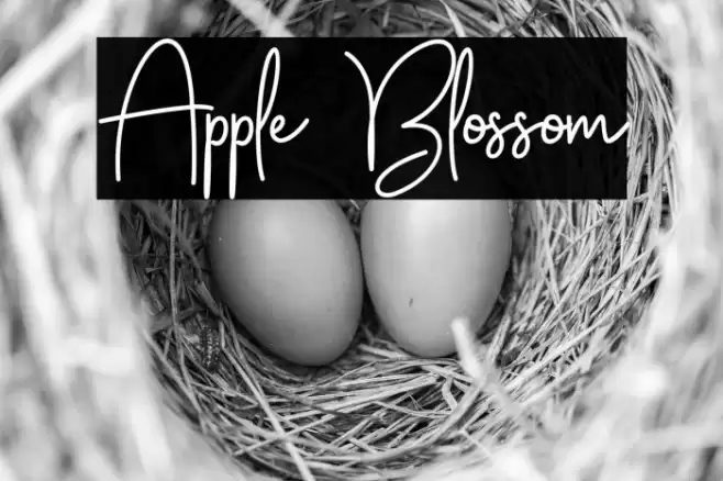 Apple Blossom Font examples
