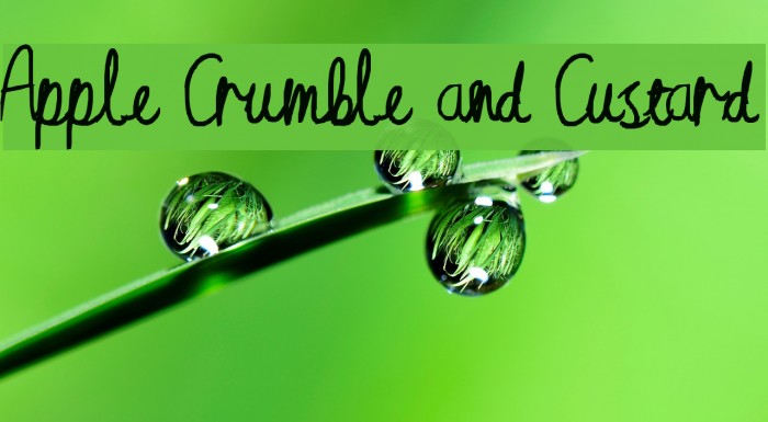 Apple Crumble and Custard Font examples
