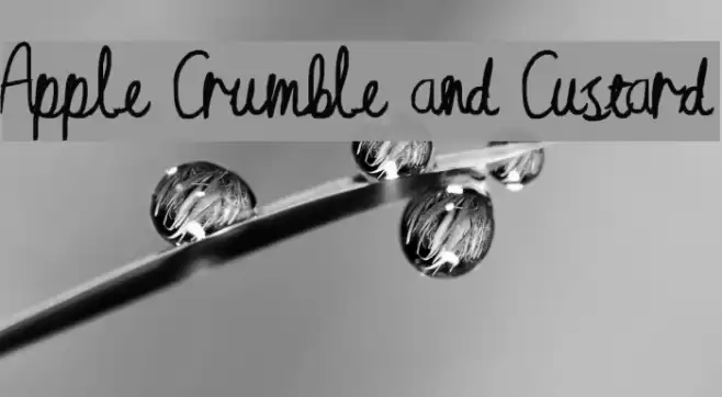 Apple Crumble and Custard Schriftart examples