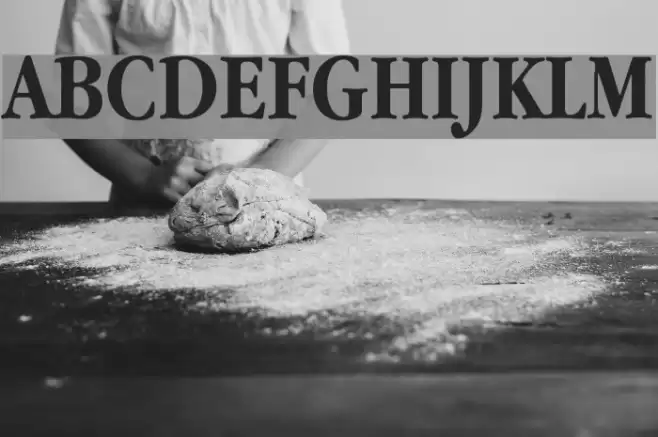 Apple Garamond Bold Font examples