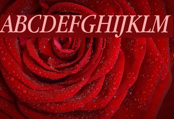 Apple Garamond Italic Font examples