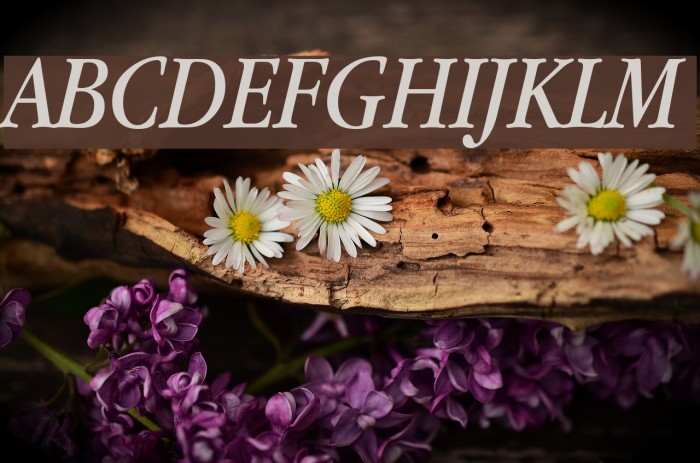 Apple Garamond Italic Font examples