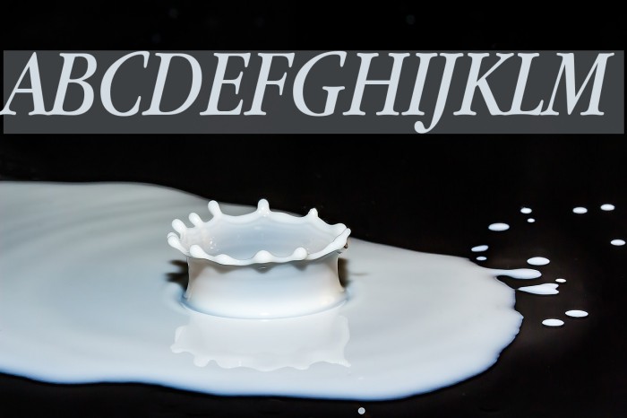 Apple Garamond Italic Font examples