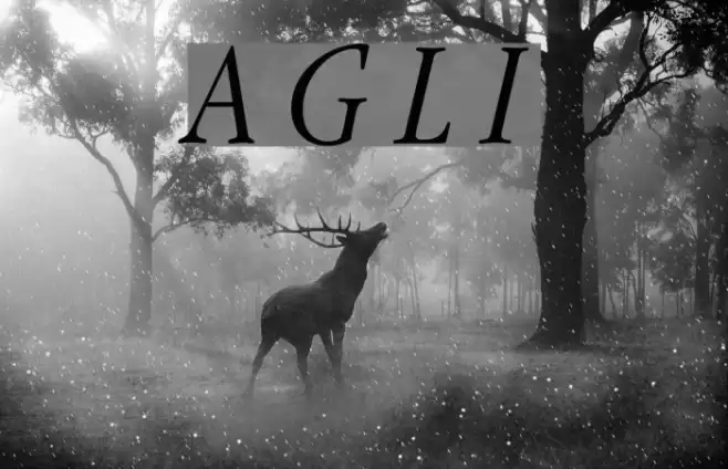 Apple Garamond Light Italic フォント examples