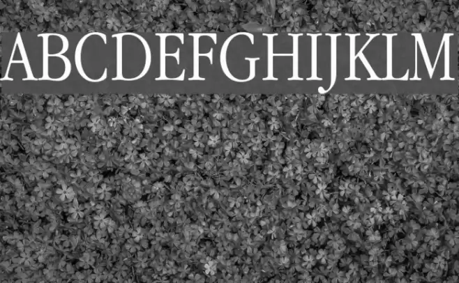 Apple Garamond Light फ़ॉन्ट examples