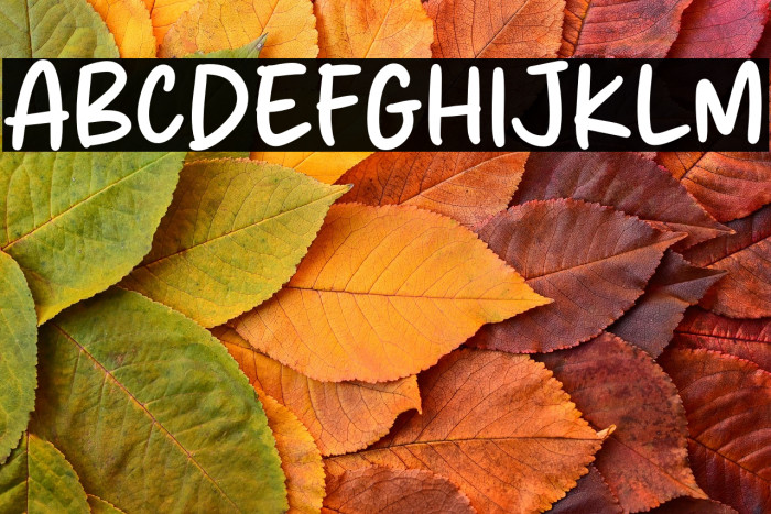 Apple Girls Example 1