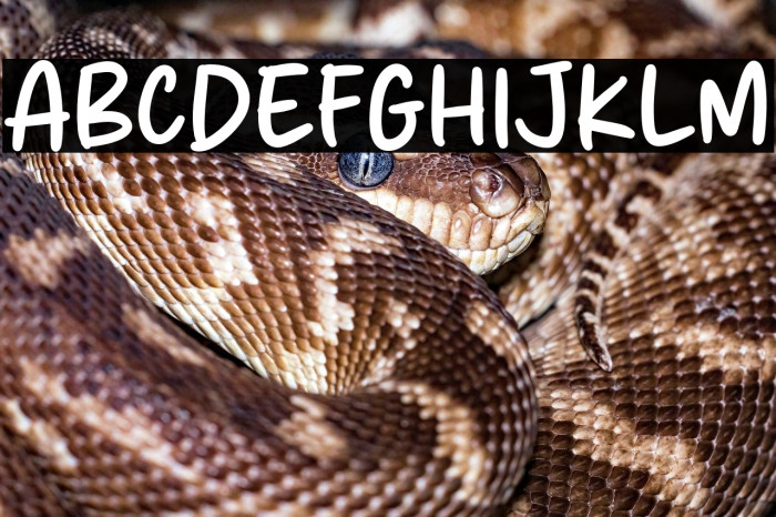 Apple Girls Example 2