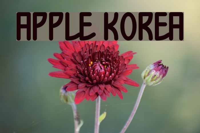 Apple Korea Example 2