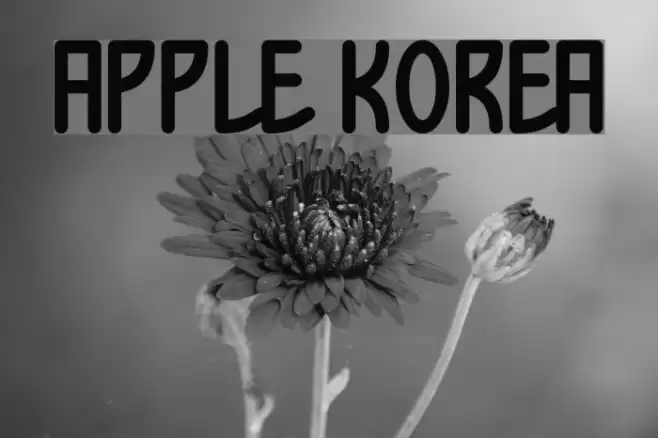 Apple Korea Font examples