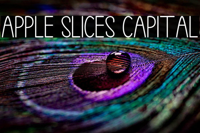 Apple Slices Capital Example 2