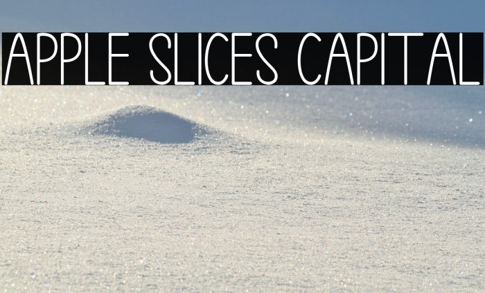 Apple Slices Capital Example 3