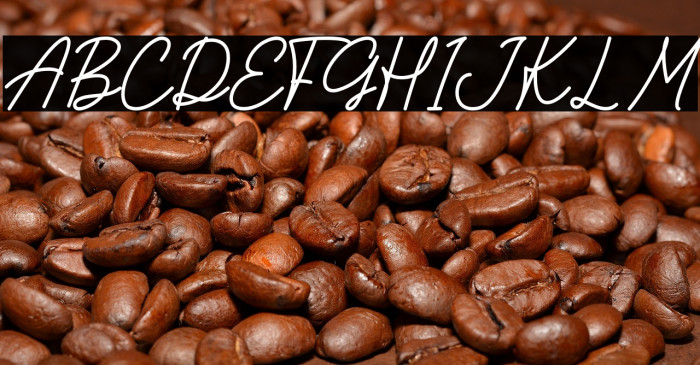 Apple Slices Example 1