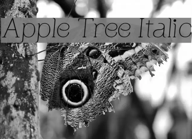 Apple Tree Italic Font examples