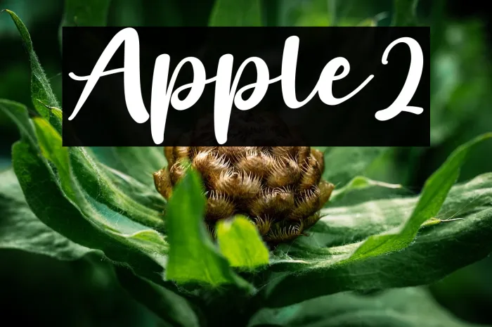 Apple2 Example 2
