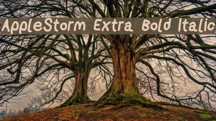 AppleStorm Extra Bold Italic Font examples