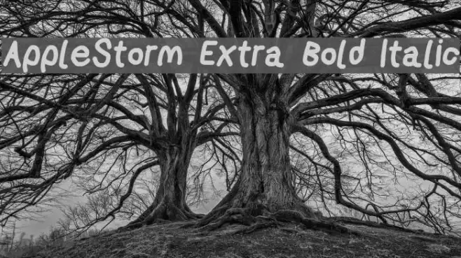 AppleStorm Extra Bold Italic Example 3