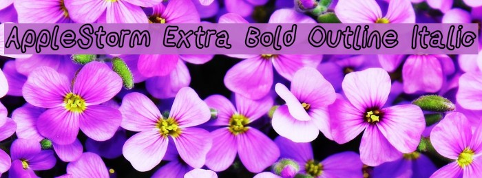 AppleStorm Extra Bold Outline Italic Font examples