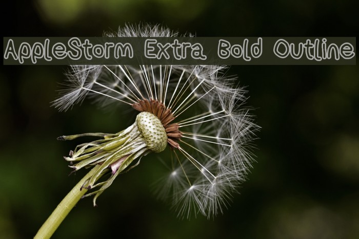 AppleStorm Extra Bold Outline Font examples