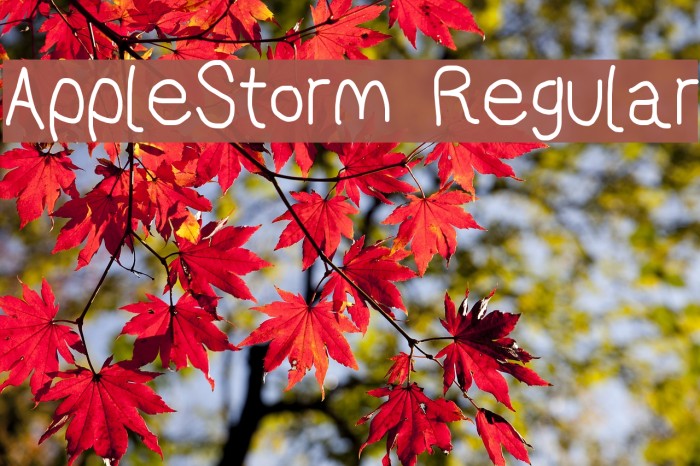 AppleStorm Regular Font examples