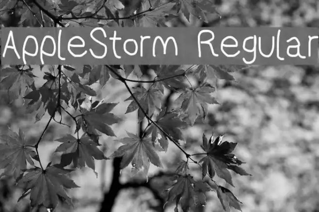 AppleStorm Regular Example 2