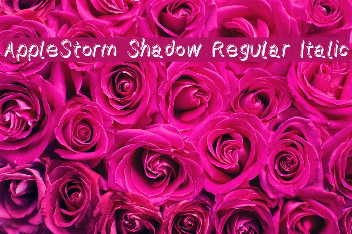AppleStorm Shadow Regular Italic Font examples