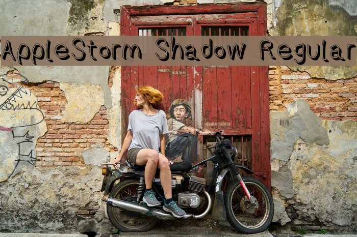 AppleStorm Shadow Regular Font examples