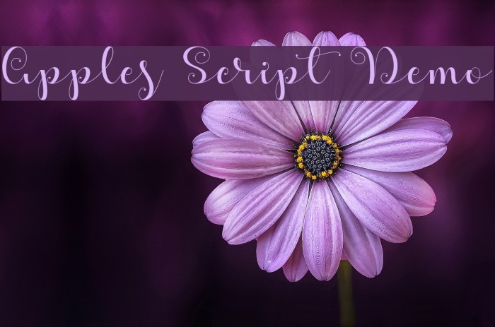 Apples Script Demo Font examples