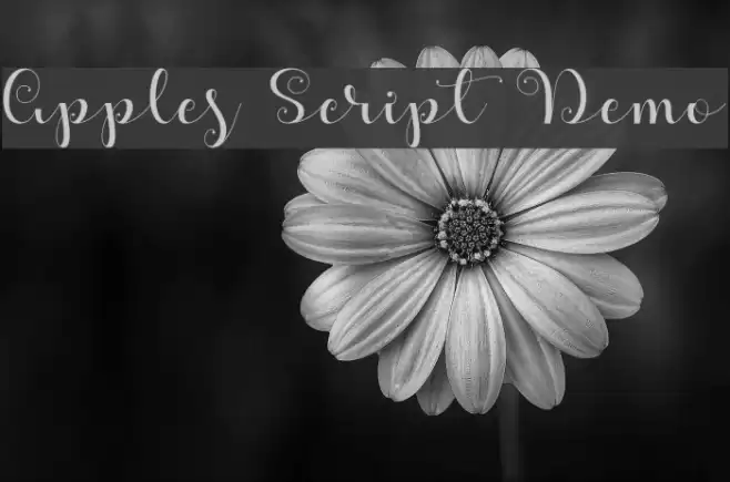 Apples Script Demo Font examples