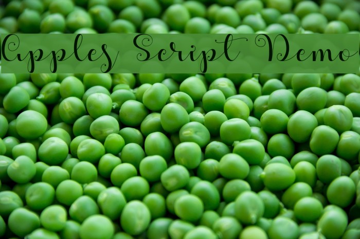 Apples Script Demo Font examples