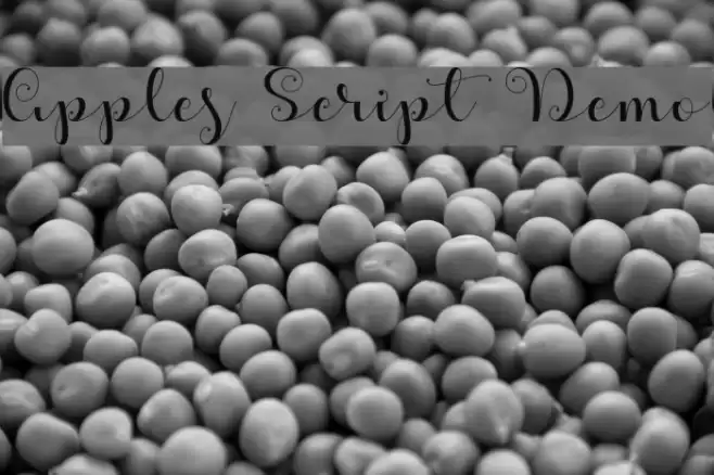 Apples Script Demo Font examples