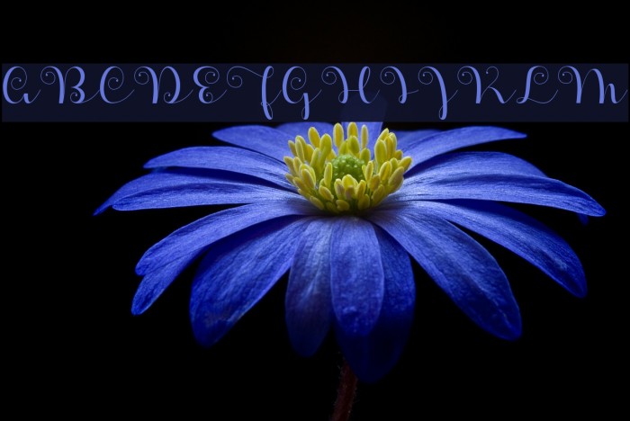 ApplesScript Example 2