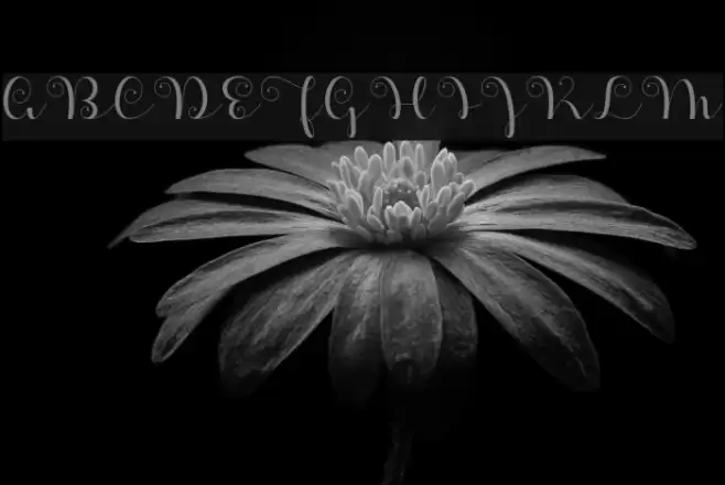 ApplesScript Font examples