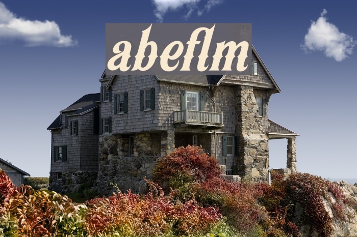Appleton Font examples