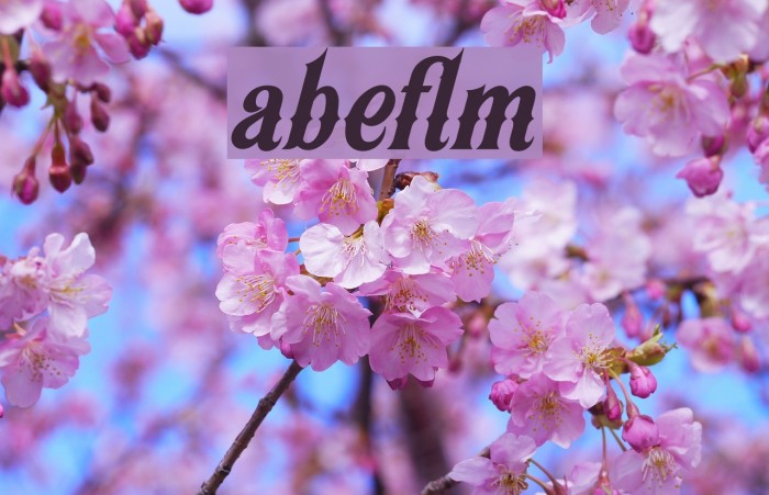 Appleton Font examples