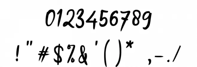 Applicant Signature_ Font OTHER CHARS