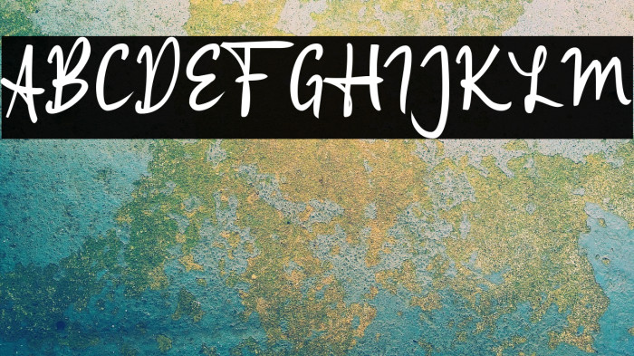 Applicant Signature_ Example 2