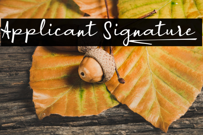 Applicant Signature_ Example 1