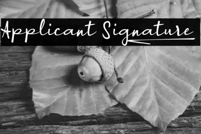 Applicant Signature_ Font examples