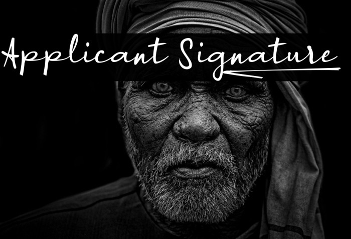 Applicant Signature_ Example 2