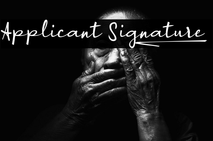 Applicant Signature_ Example 3