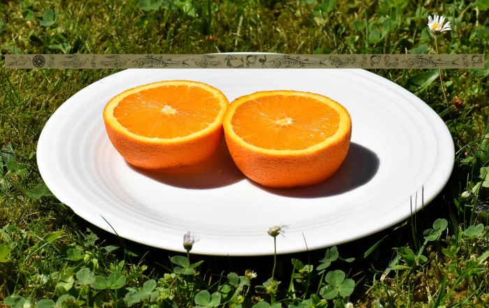 AprendizCaligrafico Example 3