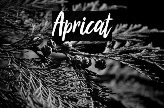 Apricat Font examples