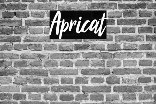 Apricat Font examples