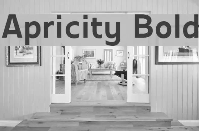 Apricity Bold Example 1