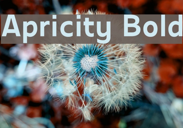 Apricity перевод