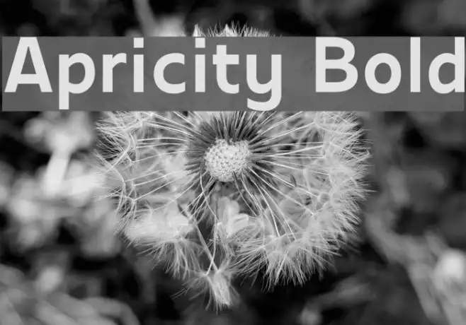 Apricity Bold Example 2